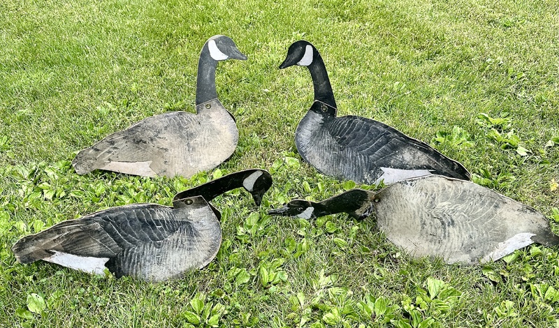 Small Flock of Dunster Dupe-a-Goose Decoys