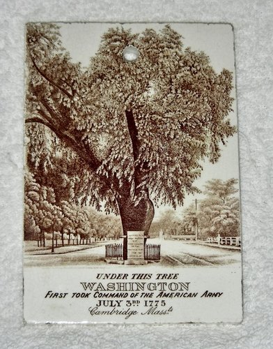 1899 Wedgwood Calendar Tile: Washington Elm