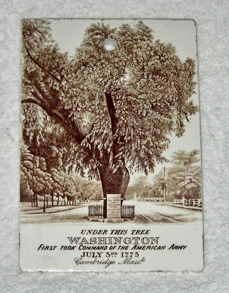 1899 Wedgwood Calendar Tile: Washington Elm