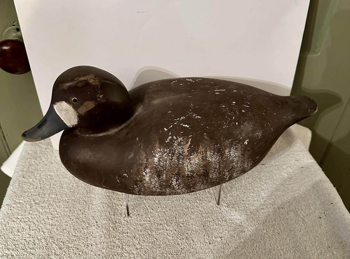 4. Golden Eye Duck Decoy