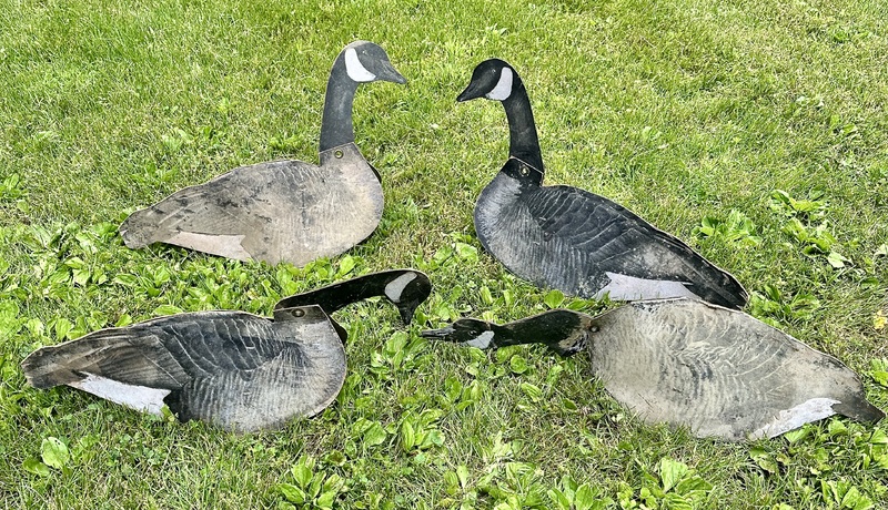 Small Flock of Dunster Dupe-a-Goose Decoys