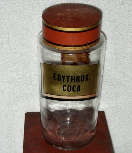 10 ½” Glass Apothecary Jar: Erythrox: Coca