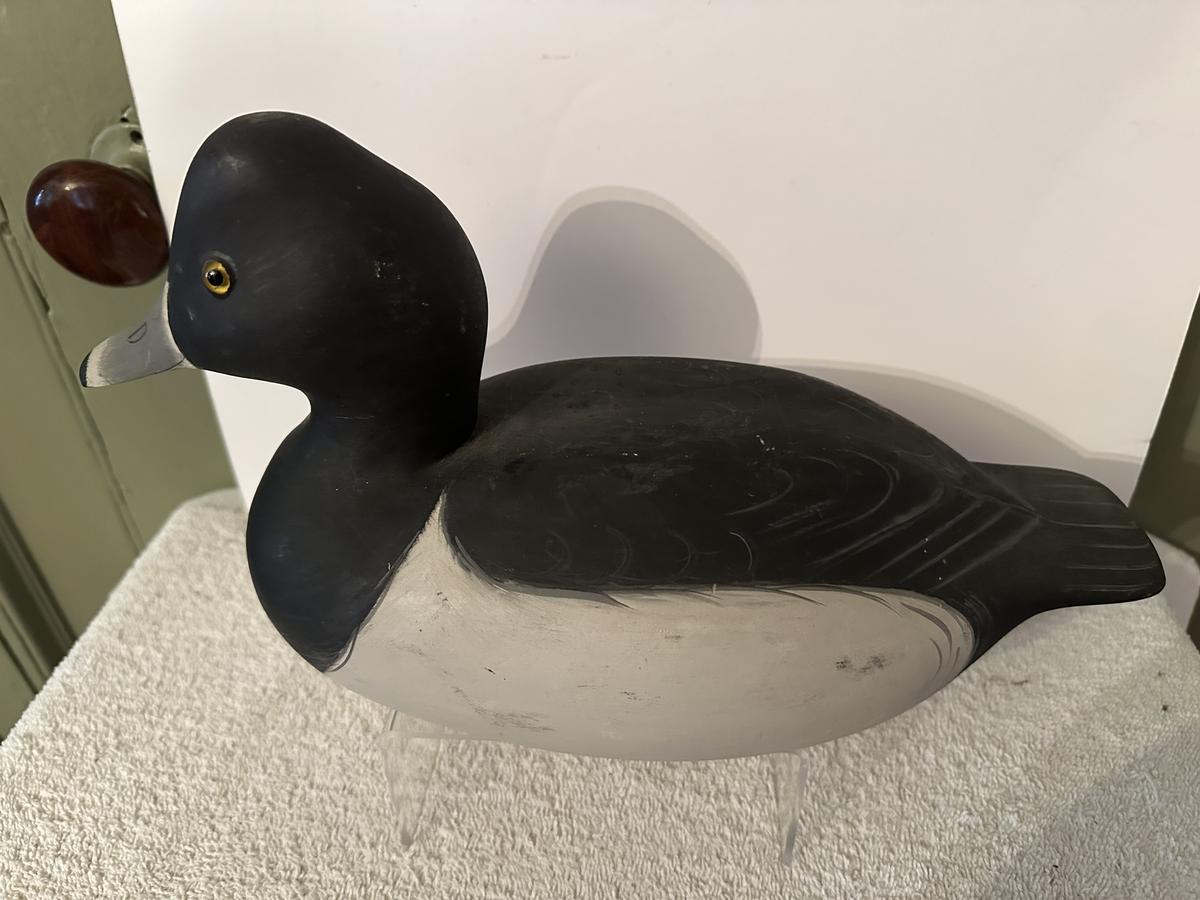 2. Bufflehead/Ring Neck Duck Decoy