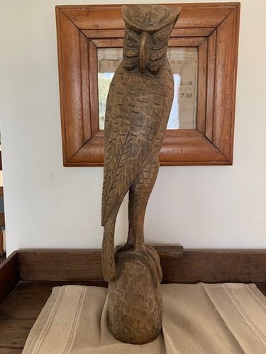 Owl