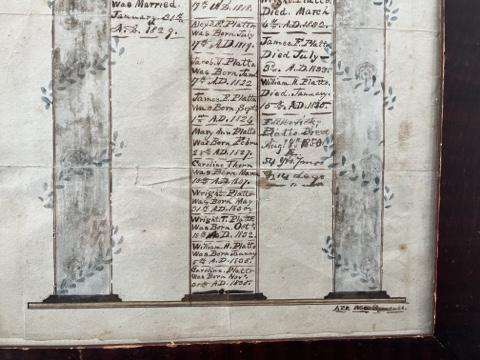 NY State Family Record Platto and Chapman Families