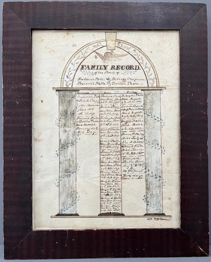 NY State Family Record Platto and Chapman Families
