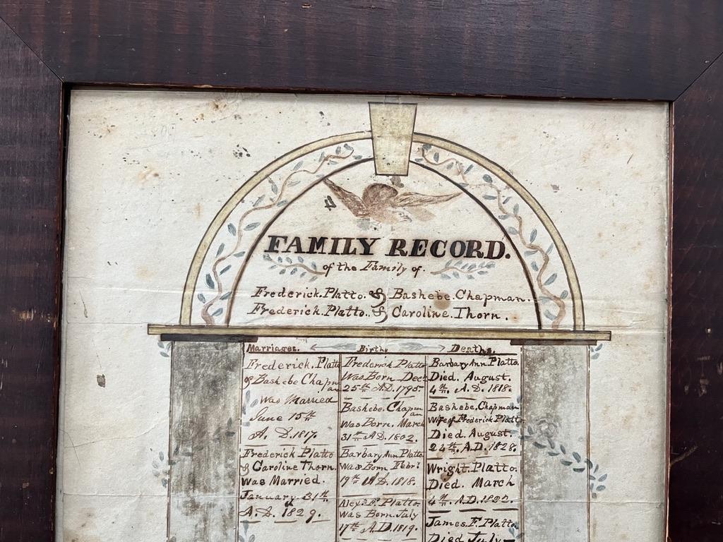 NY State Family Record Platto and Chapman Families