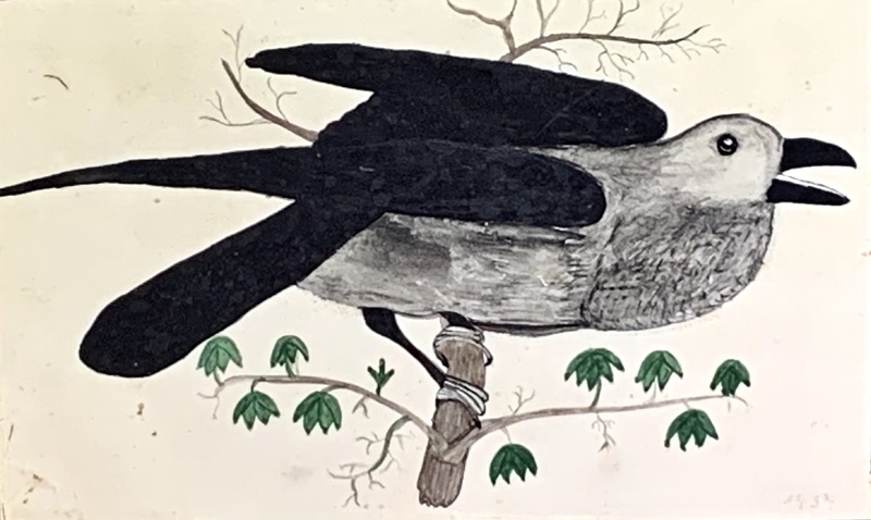 23-140. Watercolor of a bird on a branch