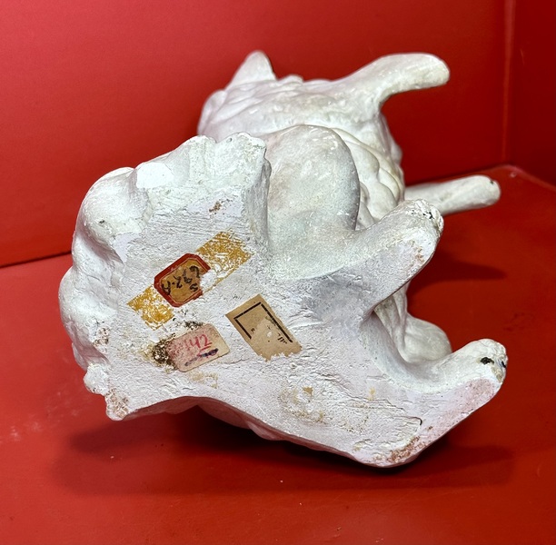 25-024.Pennsylvania Chalkware Hollow Dog-Form Bank
