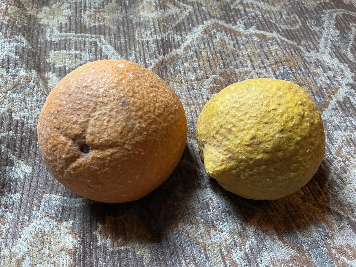 Extra Large Stone Fruit Lemon/Orange