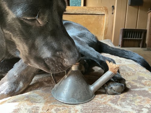 Small Early Tin Fluid Lamp