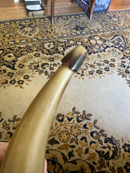 18th/19th Century 11 inch Large Carved Powder Horn