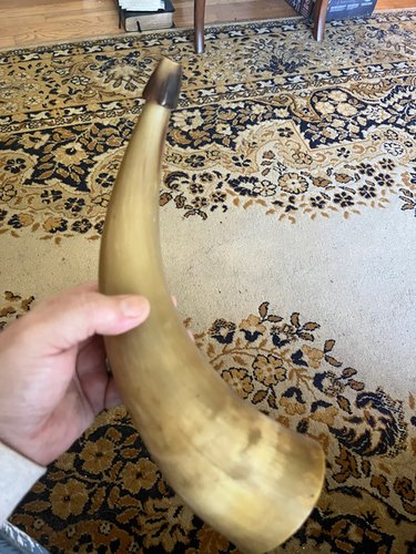18th/19th Century 11 inch Large Carved Powder Horn