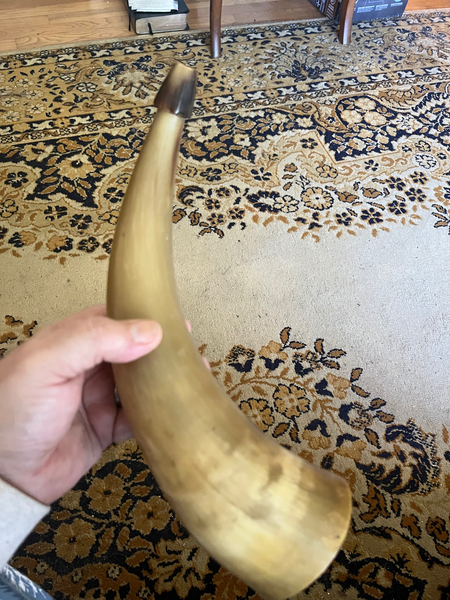 18th/19th Century 11 inch Large Carved Powder Horn