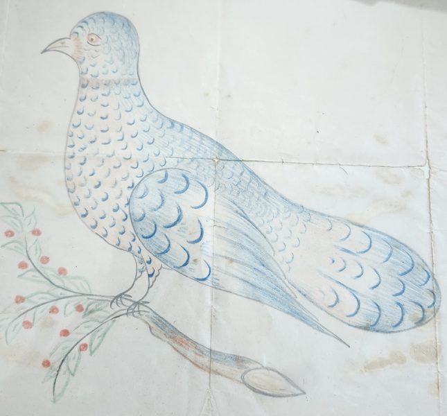 19th C. American Folk Art Drawing of Peace Dove