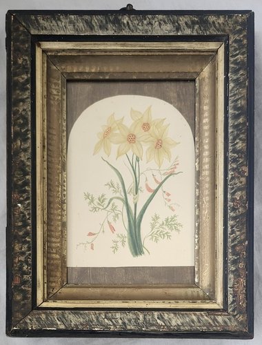 **Framed Antique 1849 Daffodils Watercolor