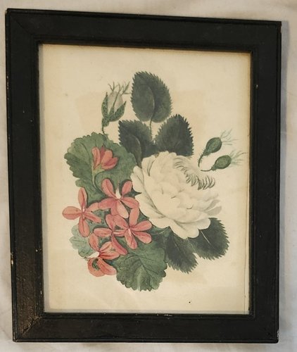 **19th C. Folk Art Floral Watercolor