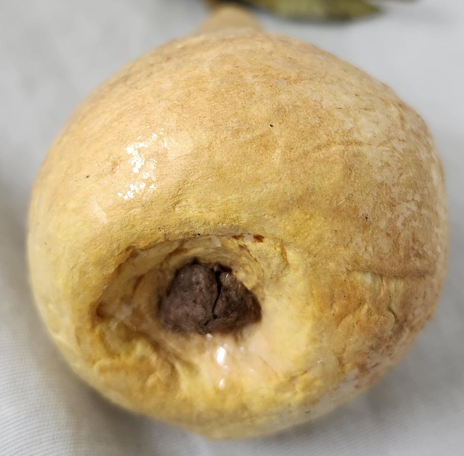 Vintage 5" Spun Cotton Pear
