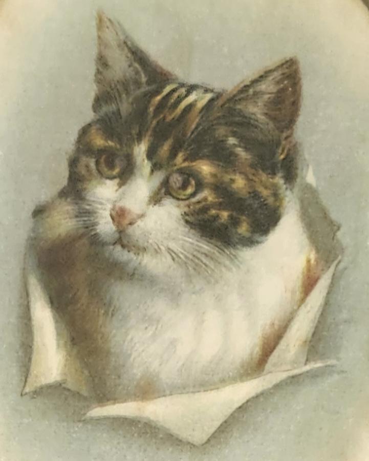 19th C. Folk Art Oil on Silk Cat Portrait