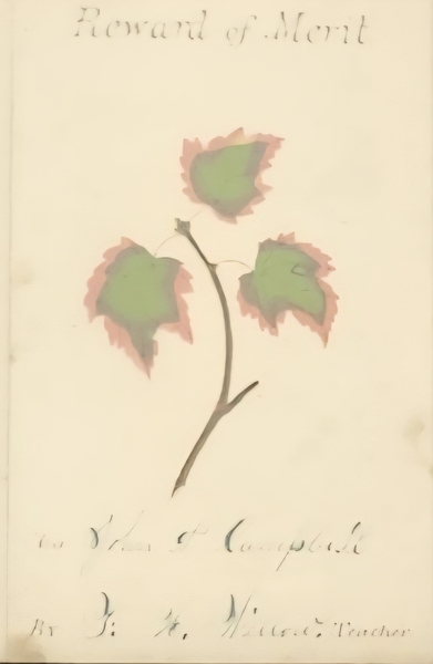 Antq. Leaf Watercolor Award of Merit + German Note