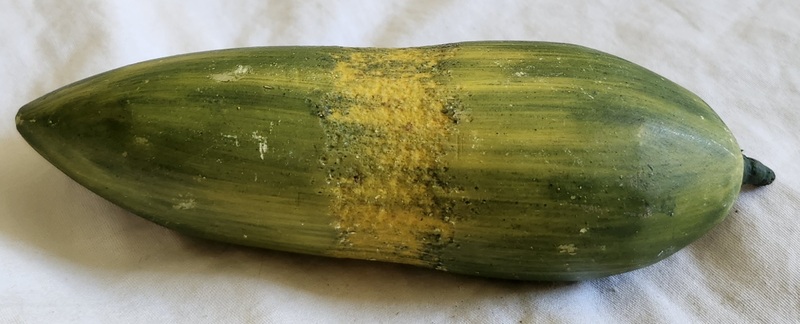 **Vintage Italian Stone Cucumber