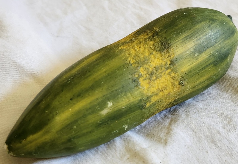 **Vintage Italian Stone Cucumber