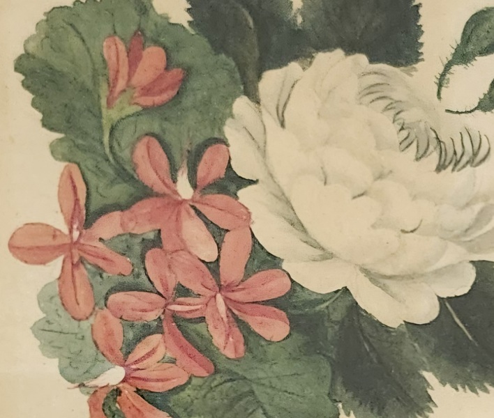 **19th C. Folk Art Floral Watercolor