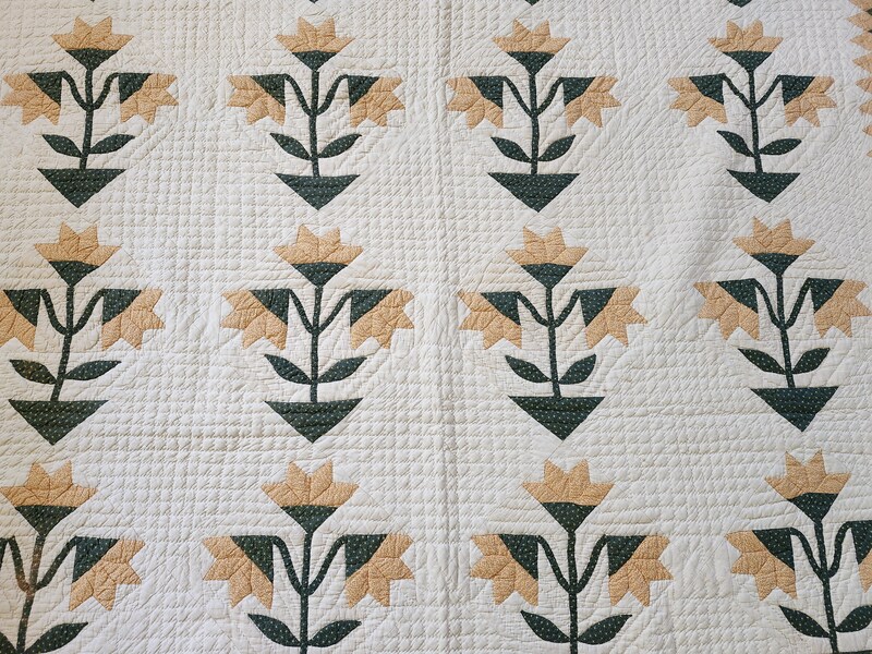 **Ca.1850 N. Carolina Lily Quilt w/Provenance