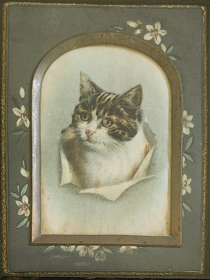 19th C. Folk Art Oil on Silk Cat Portrait