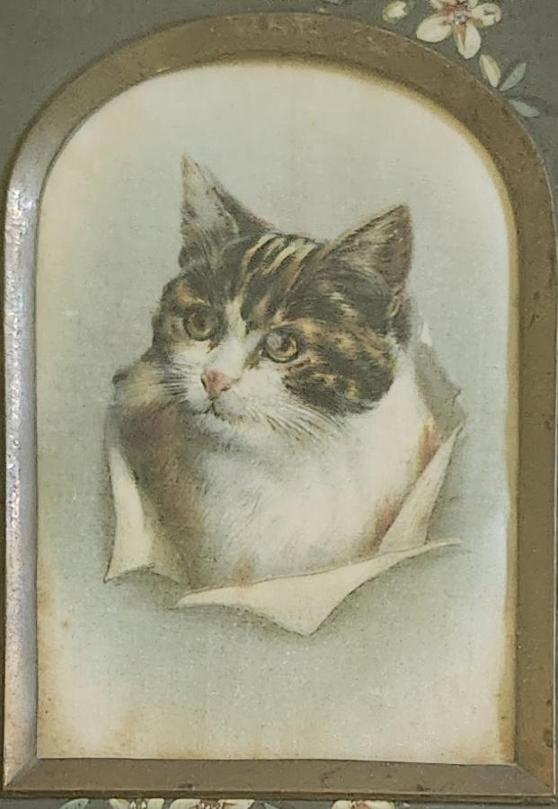 19th C. Folk Art Oil on Silk Cat Portrait