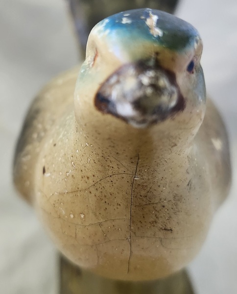 **Lg. 7" Long Working German Pigeon Pipsqueak