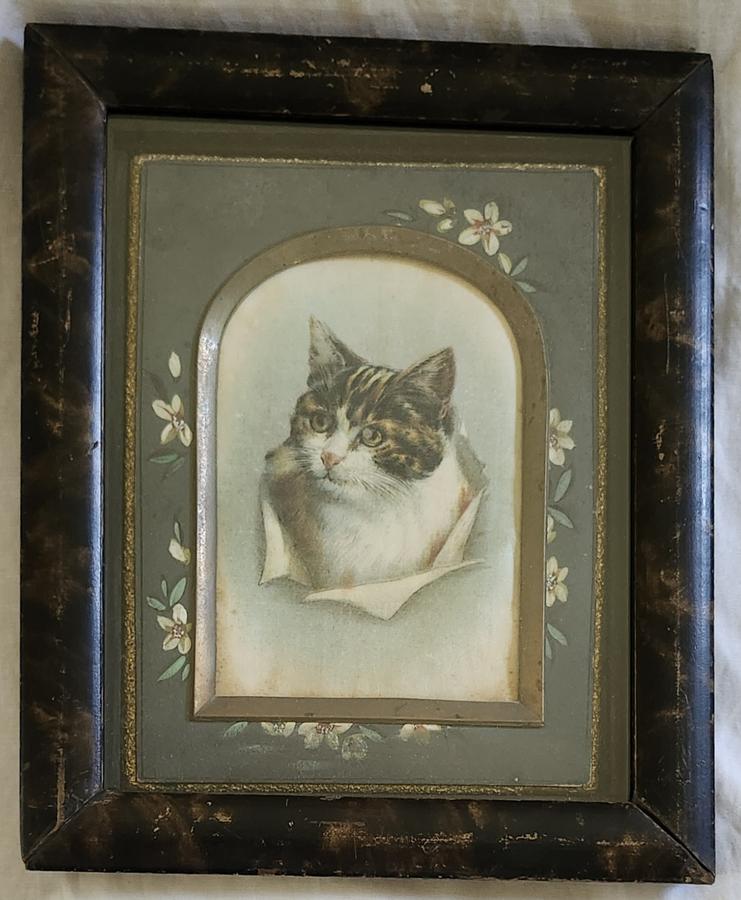 19th C. Folk Art Oil on Silk Cat Portrait