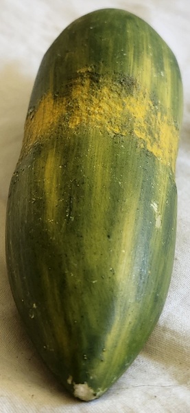 **Vintage Italian Stone Cucumber