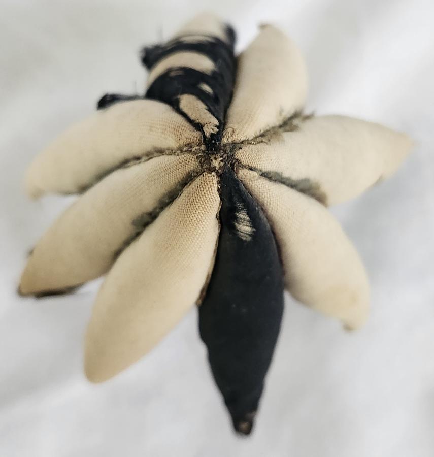 Tiny 19th C. Folk Art Starfish Make-Do Pin Cushion