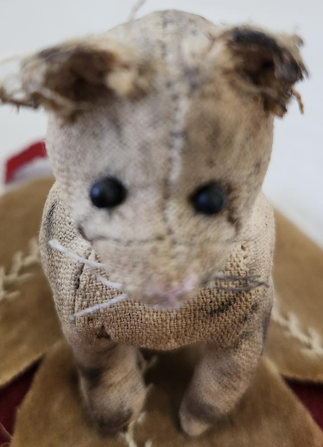 Rare Pr. Antique Folk Art Dog & Cat Pen Wipes