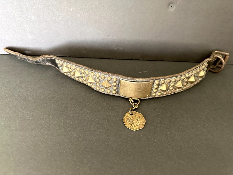 Early Leather W Brass Dog Collar W Buffalo Tag