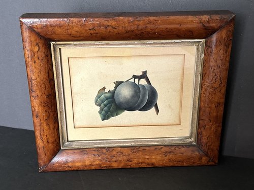 Early 1820s Painting of Plums Birdseye Maple Frame