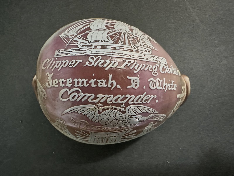 18th C Carved Cowrie Shell Ship Flying Childers