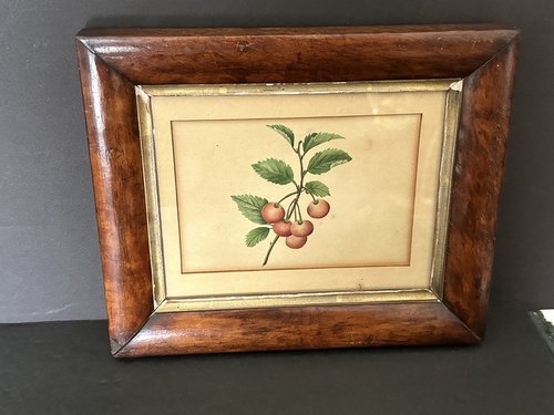 Early Cherries Painting in 1820s Birdseye Frame