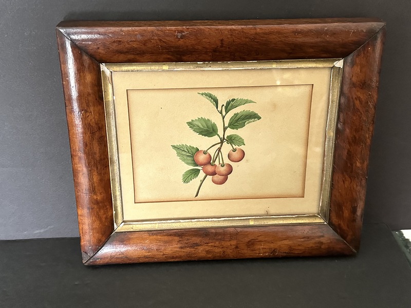 Early Cherries Painting in 1820s Birdseye Frame
