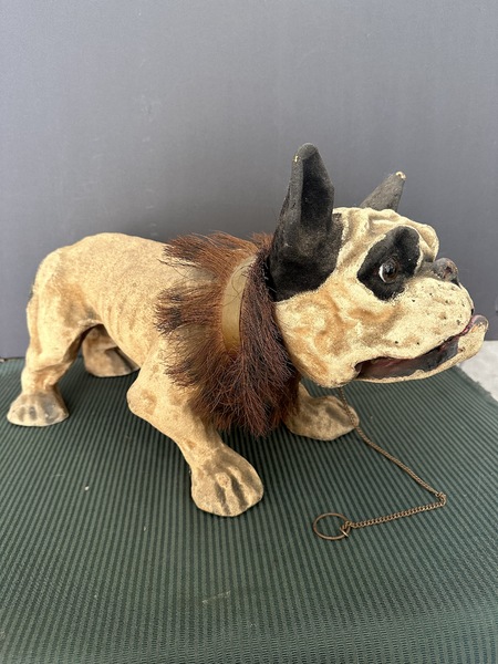Rare Papier Mache Bulldog "Growler" C 1890s