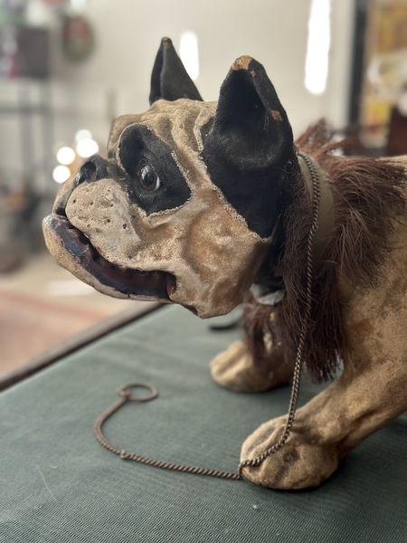 Rare Papier Mache Bulldog "Growler" C 1890s