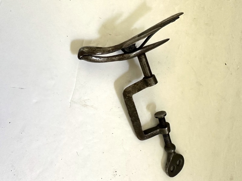 Early Sewing Bird Graceful and Substantial