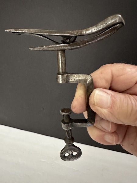 Early Sewing Bird Graceful and Substantial