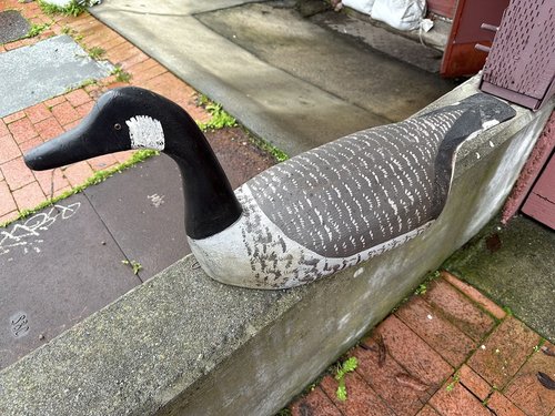 Vintage Canadian Goose Field Decoy Great Paint