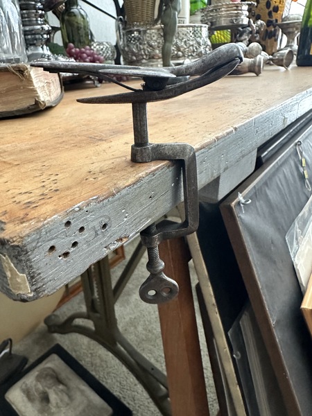 Early Sewing Bird Graceful and Substantial