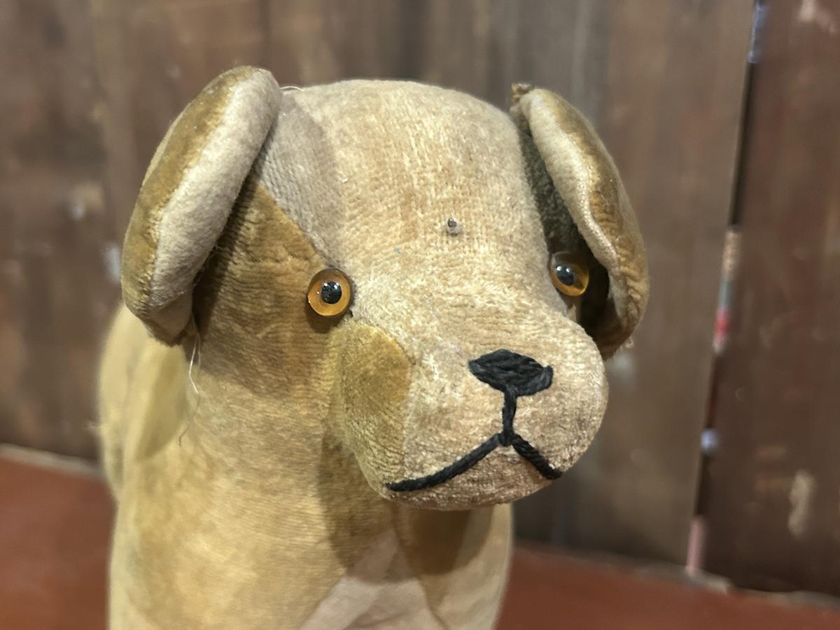 Velvet Dog Plush Toy